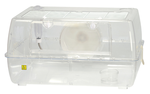 ルーミィ60 グランスぺース クリアー ｜ 株式会社三晃商会