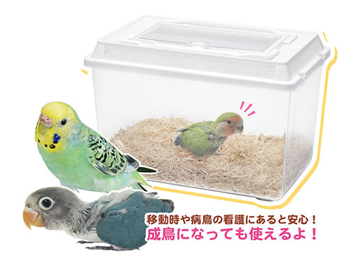 インコひな用 特製飼育セット ｜ 株式会社三晃商会