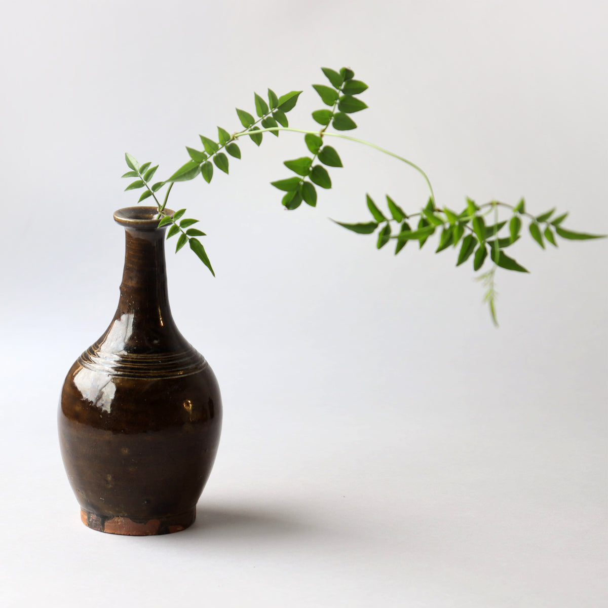 18世紀 壷屋焼 琉球古陶 褐釉台付瓶 飴釉瓶子 ビンシー 無疵 18世紀