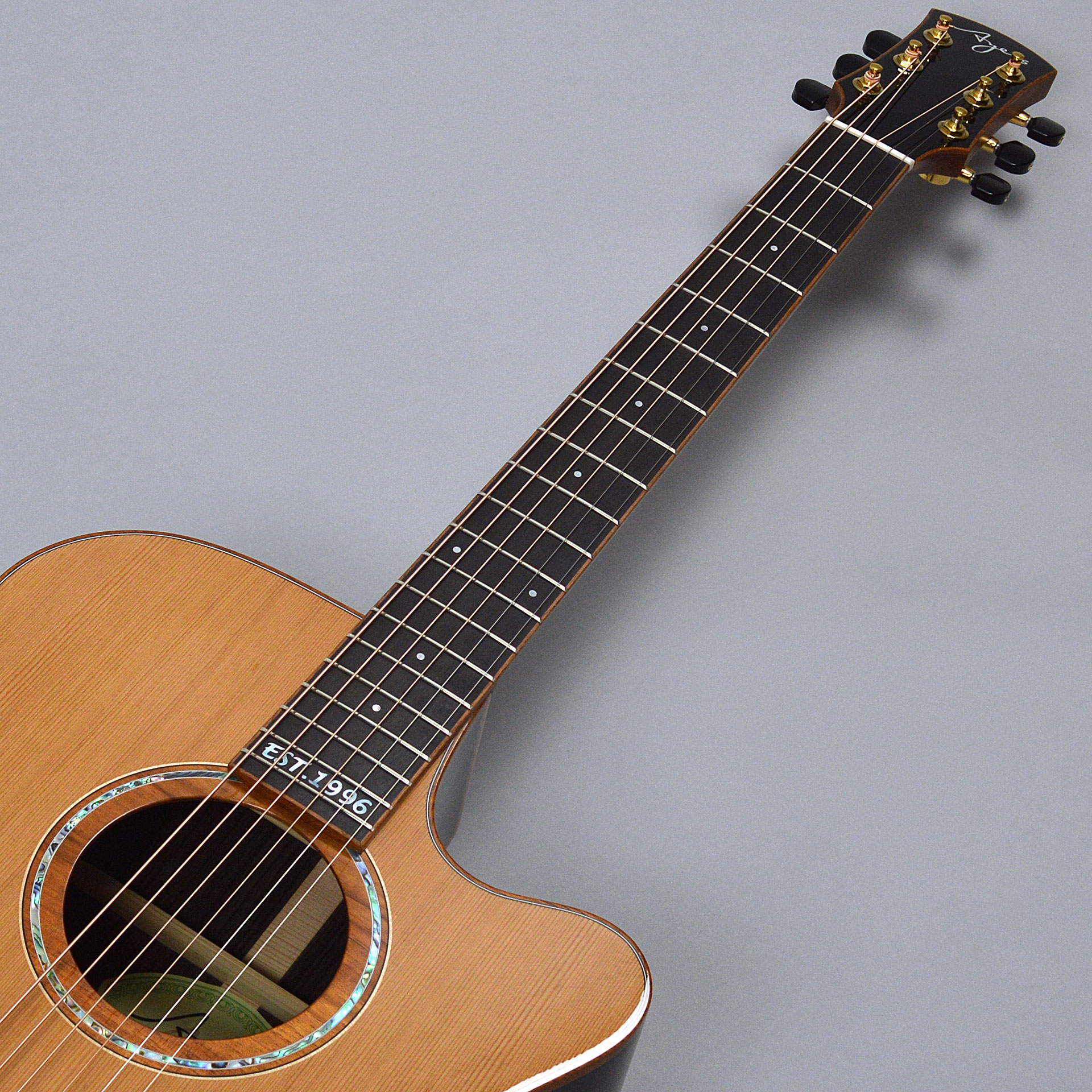 アコースティックギター】Ayers Guitars（エアーズ・ギター）25周年