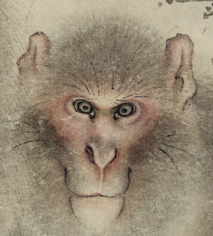 掛け軸 猿之図 森祖仙 江戸時代 絵師