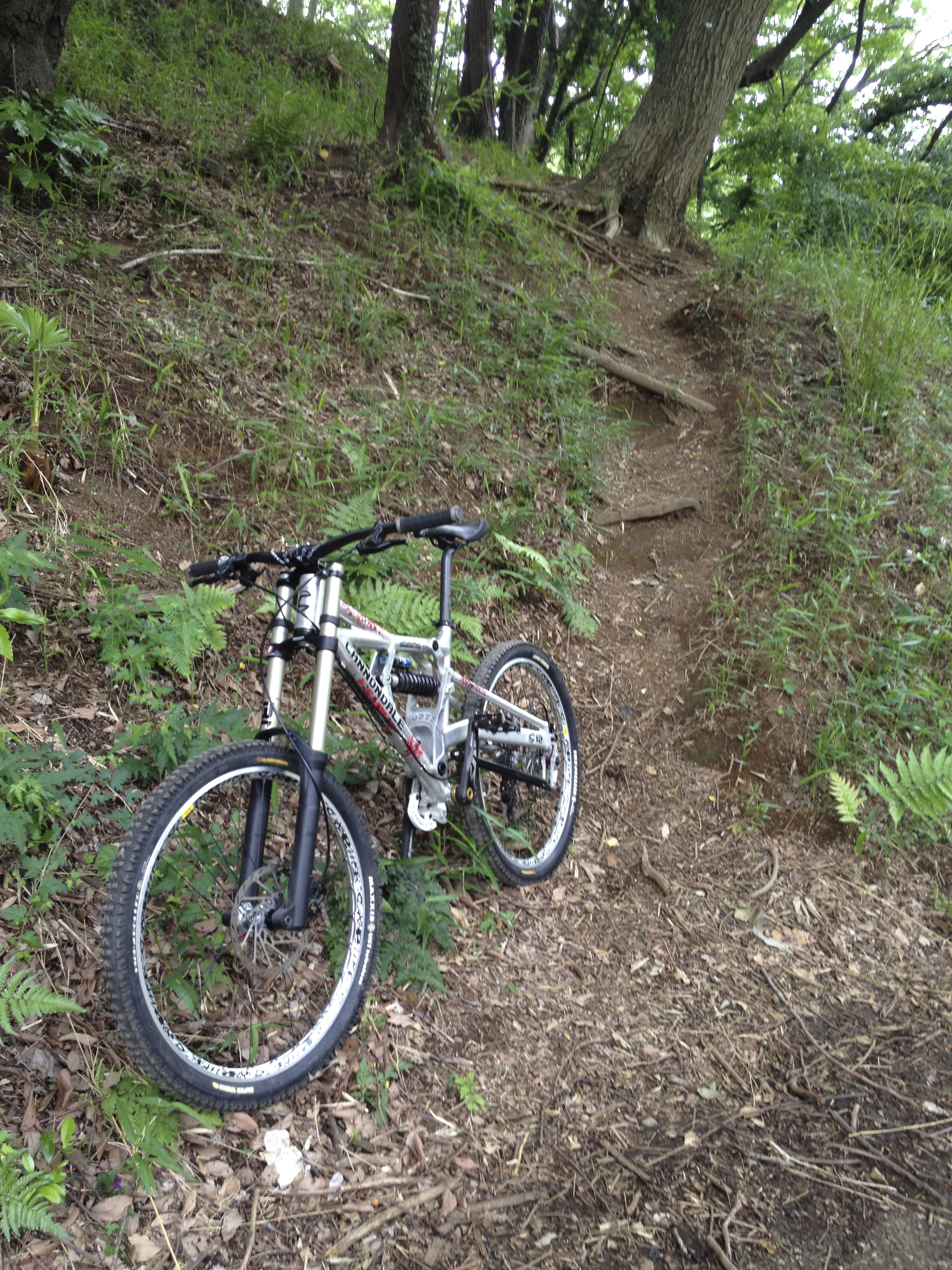 Cannondale Judge | ICOの秘密