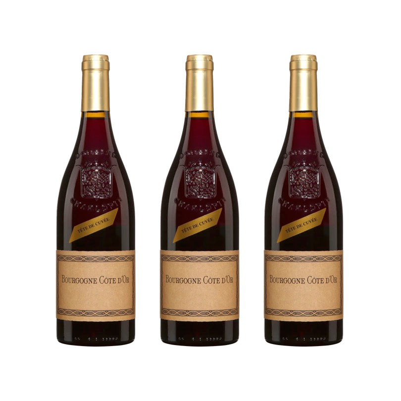 まとめ買いでお得❗️】2021 ブルゴーニュ・ルージュ・コート・ドール