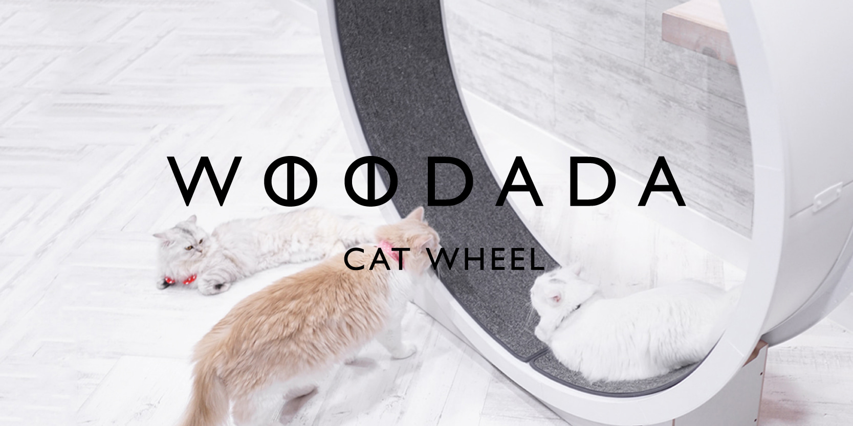 ウダダキャットホイール (woodada cat wheel)