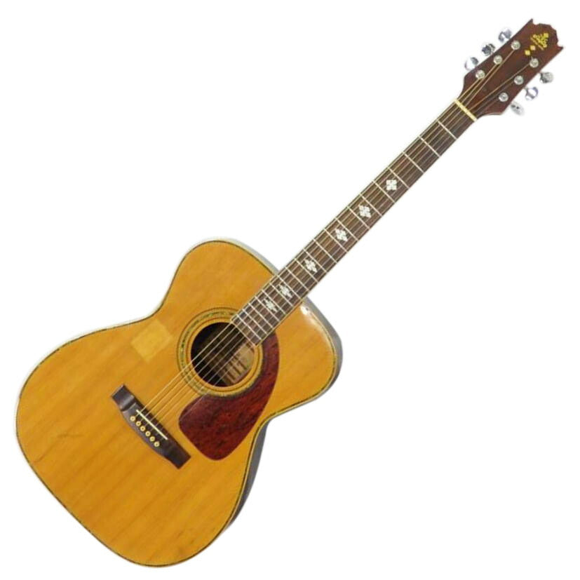 TAKEHARU ギター FT-150ビンテージ ハードケース付 木曽鈴木 TAKEHARU