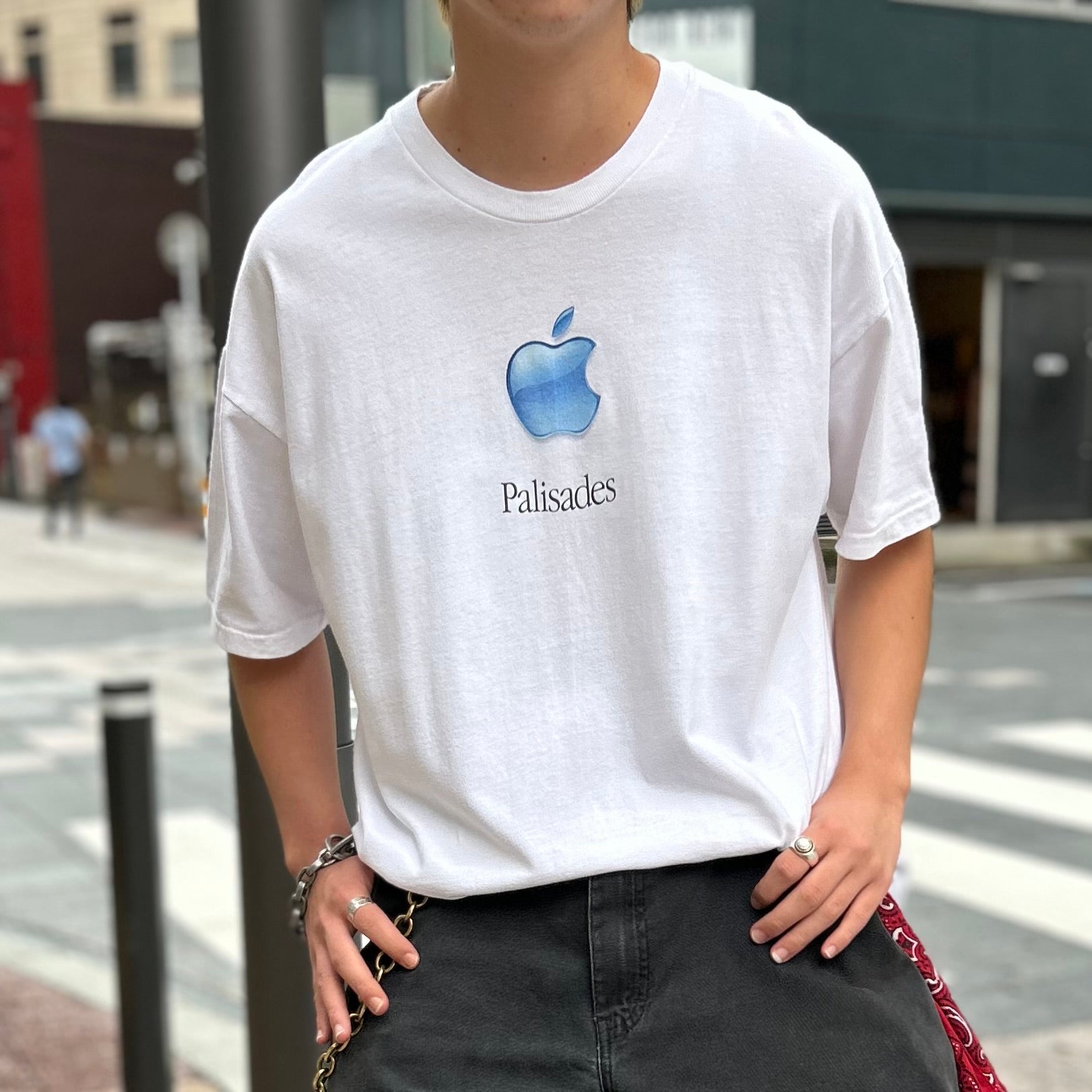 古着Tシャツ】企業 Apple 