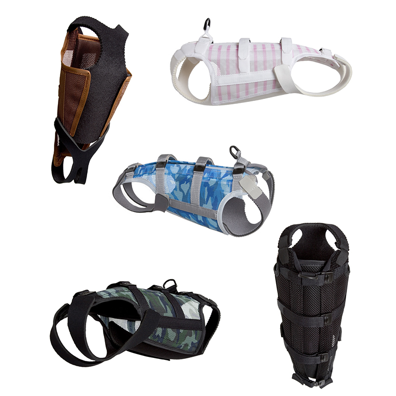 コルセット療法 | 保田動物病院