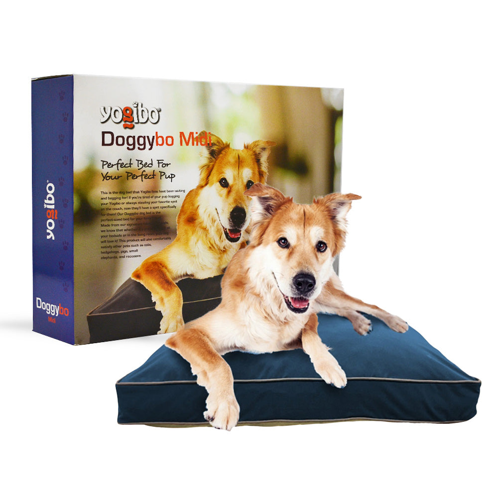 Doggybo Max ドギボー 犬用ベッド 公式】【オンラインストア限定