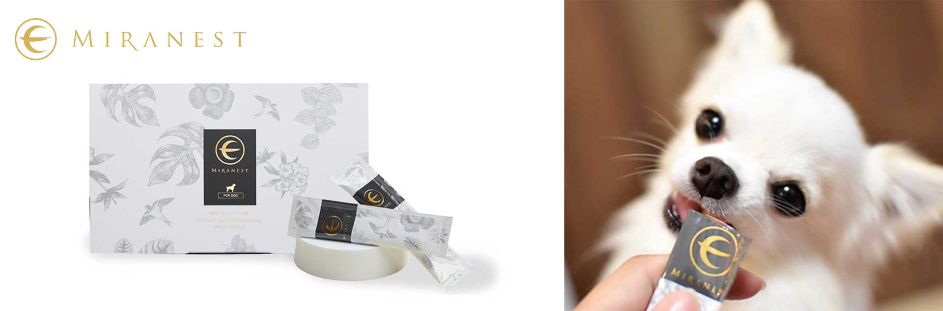 ミラネストゼリースティック FOR DOG 発売のお知らせ | MIRANEST