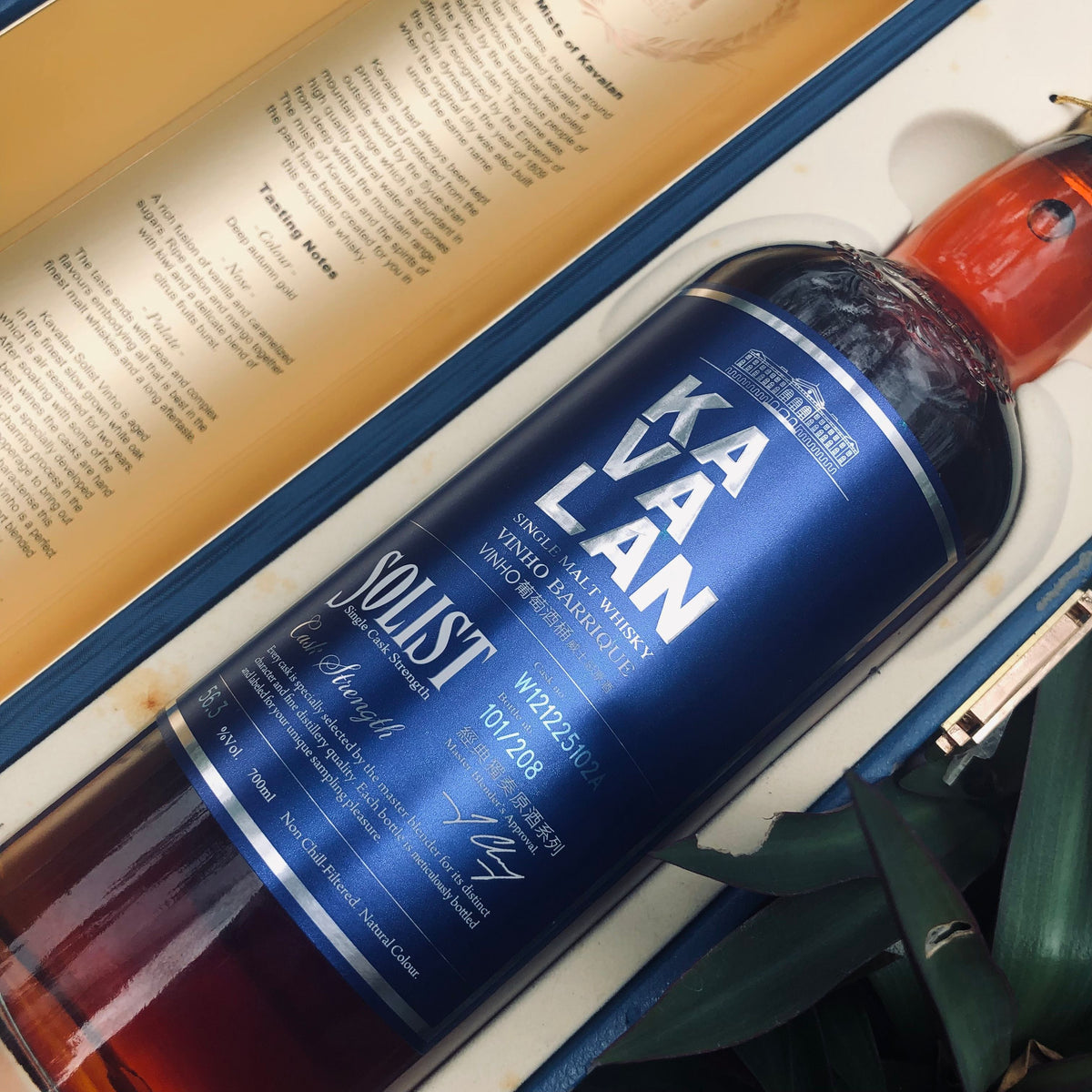 sf7E7FrQ_1200x1200.jpg?v=