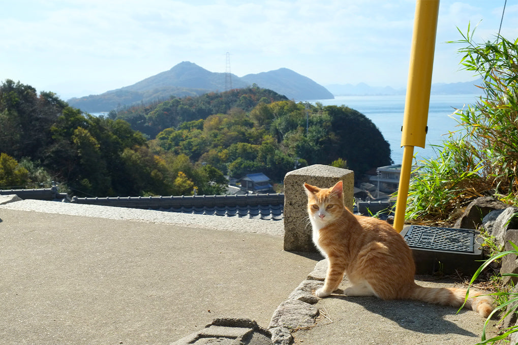 47 TREASURE｜工藝（工芸）を旅するサイト