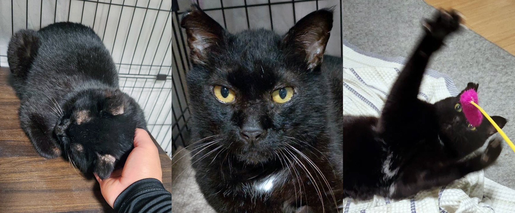 メッセージ - 560group