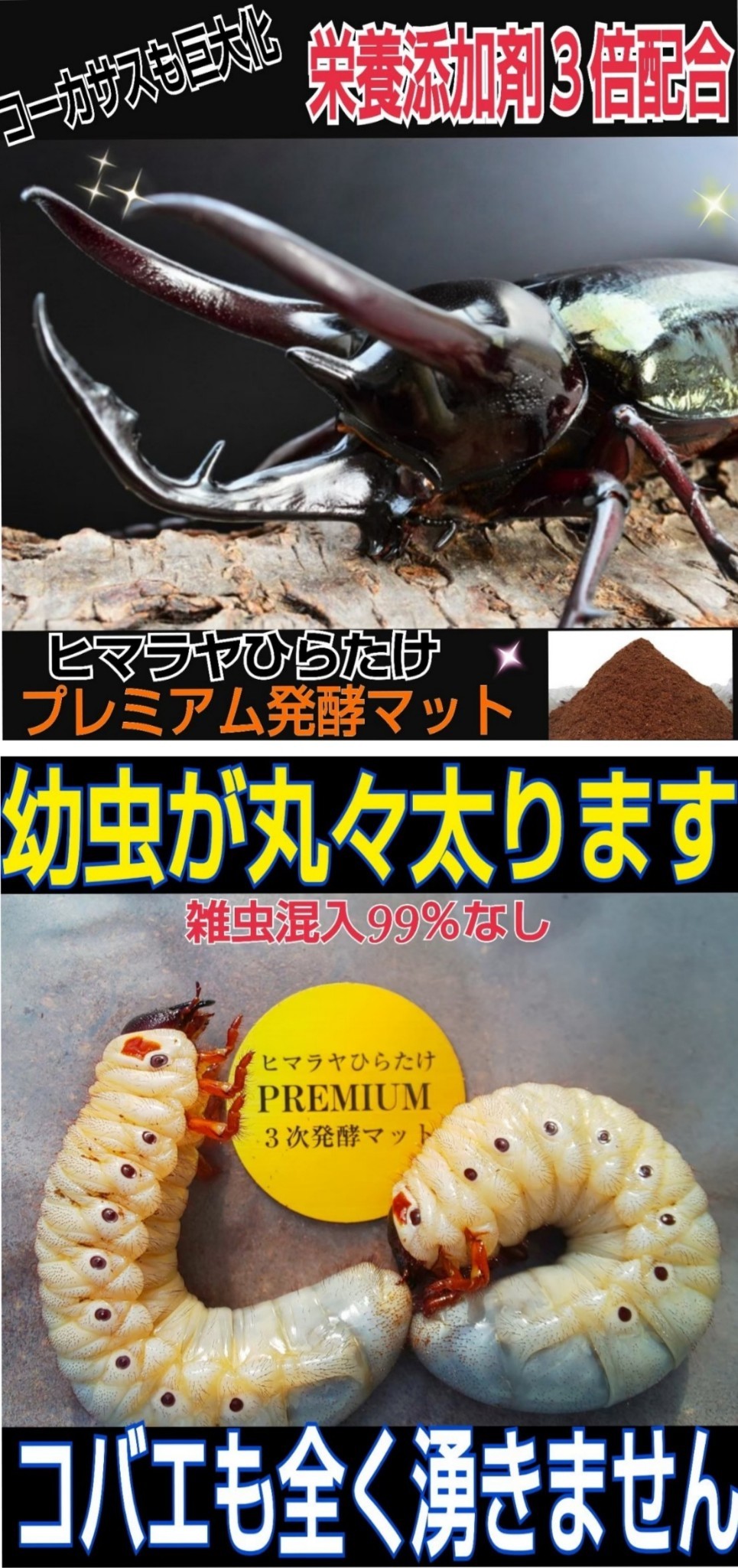 特大ケース付き☆プレミアム発酵マット20L入り☆カブトムシ幼虫を