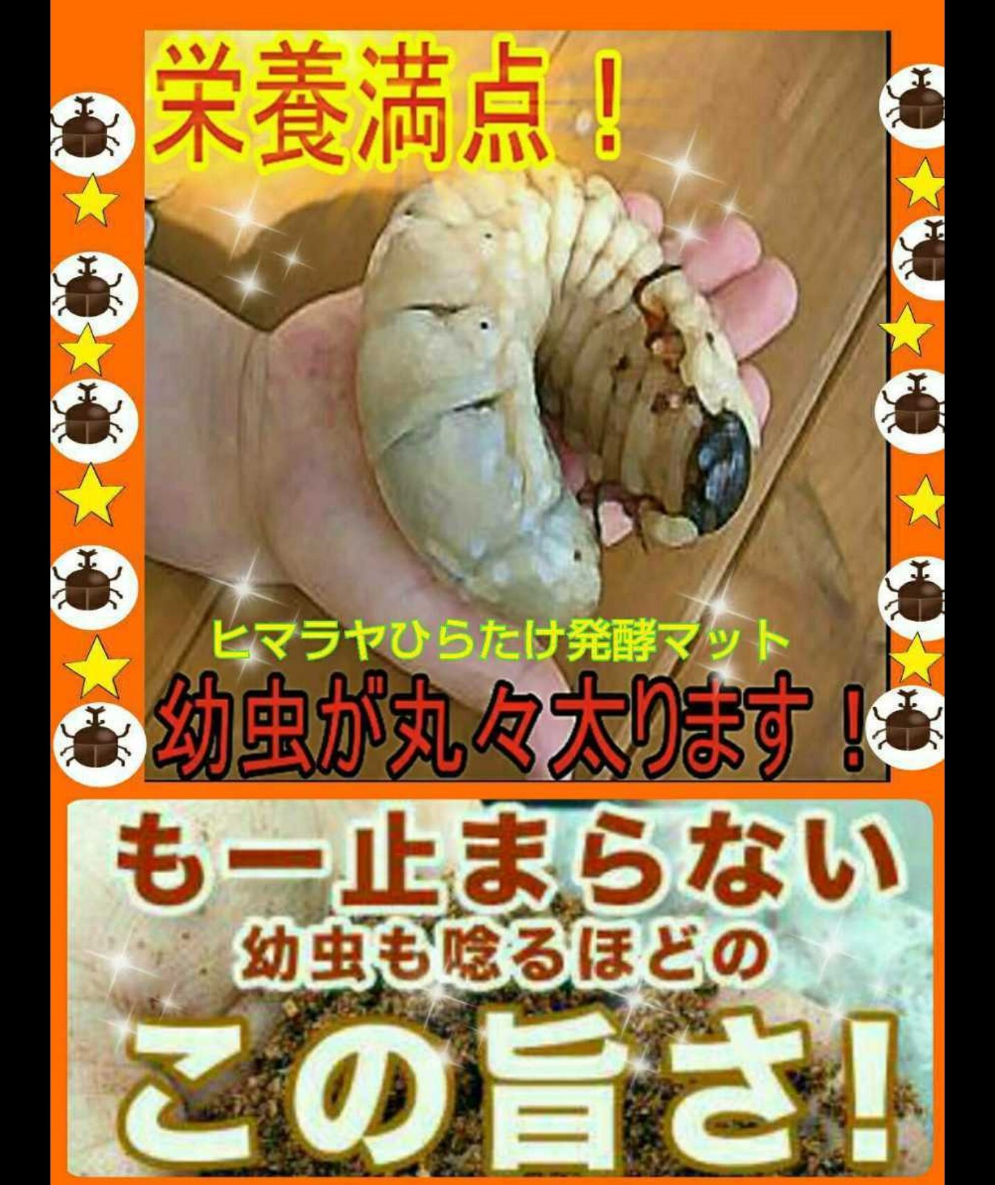 大量飼育に！たっぷり200リットル【チャック付き20袋】カブトムシ幼虫