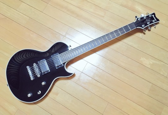 久々にレスポール系！Ibanez ARZを入手した。 – It's so simple.