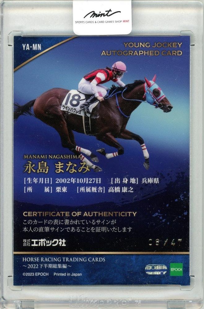 サクラキャンドル サンプルカード 激レア ホースレーシング