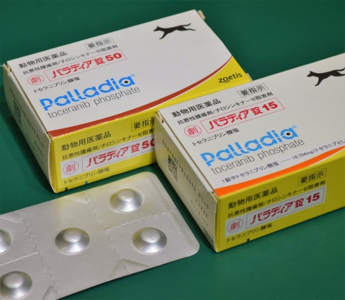 分子標的薬「パラディア」 - あいむ動物病院 西船橋