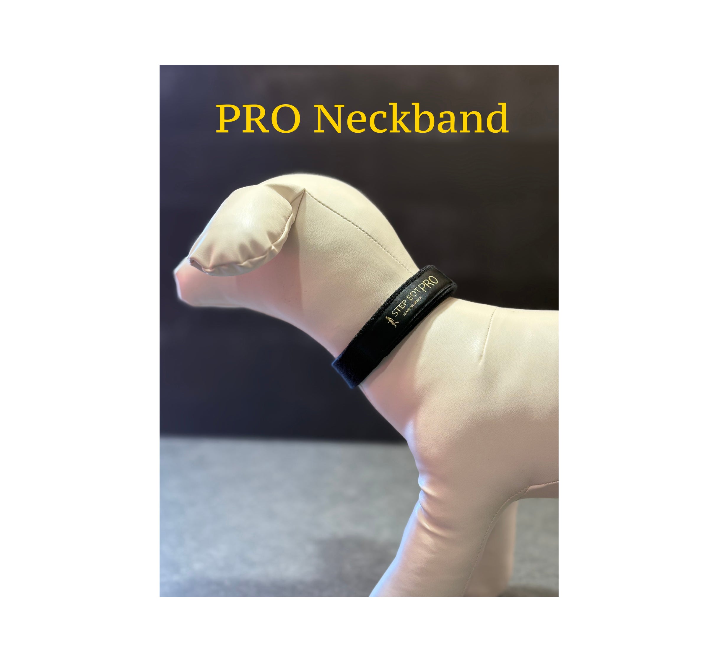 STEP EQT PROアンクルバンド2個セット レギュラーサイズ 歩けるくん