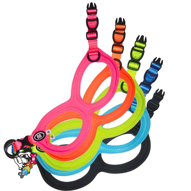 BUDDYBELTS｜バディベルト正規取扱 | PONODOG& 自由が丘