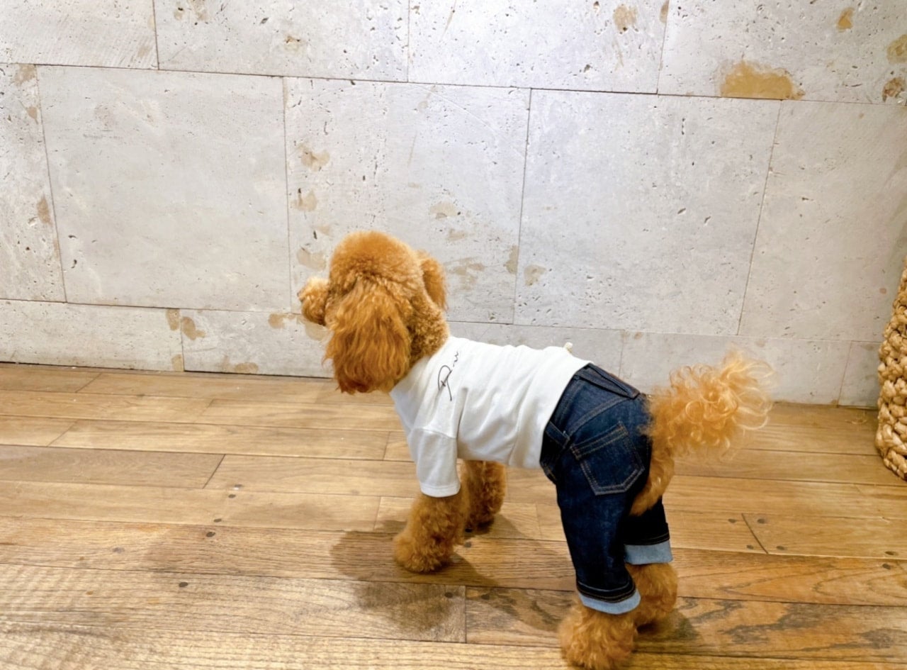 Denim rose（デニムローズ）ワッペンデニムパンツ｜PONODOG&自由が丘