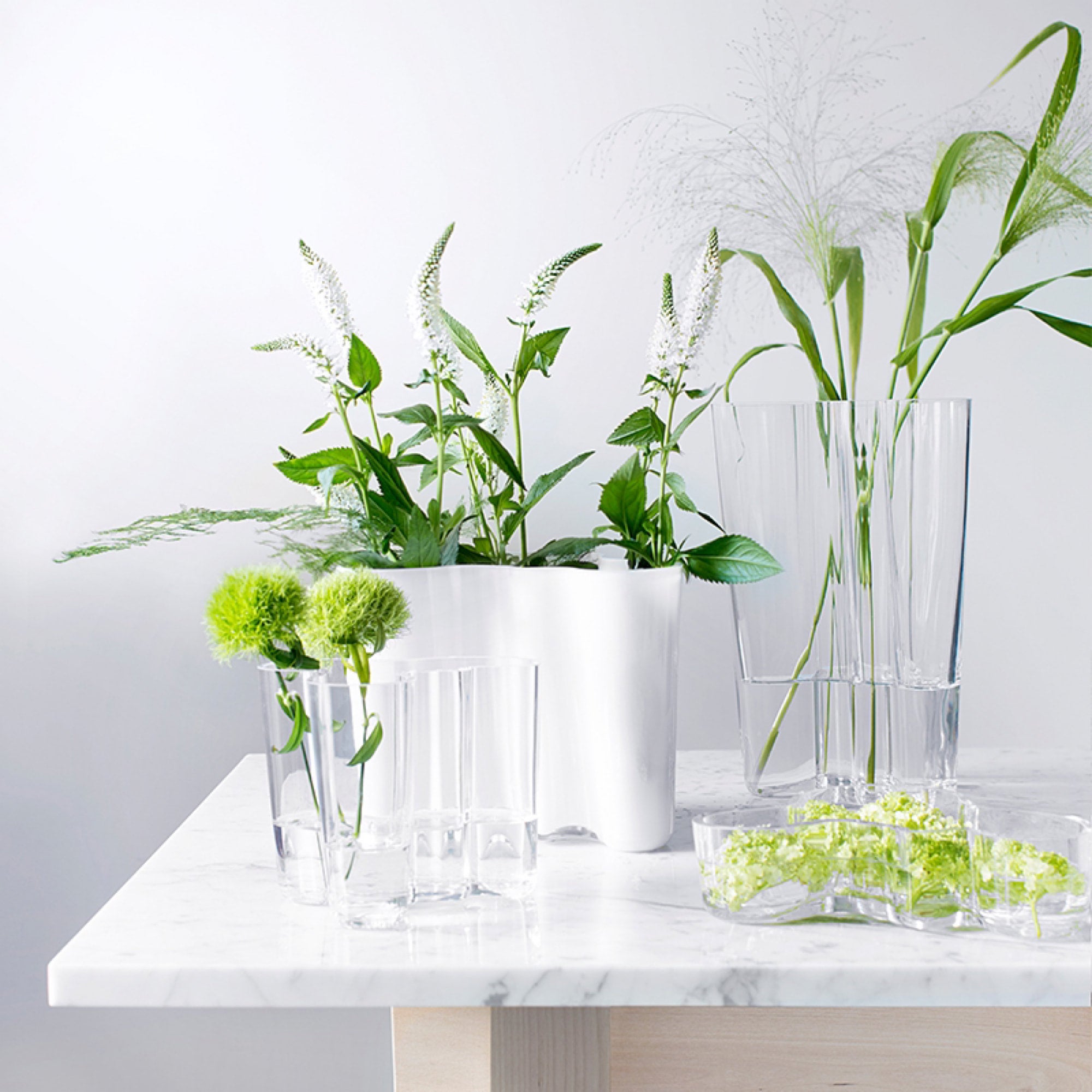 iittala Aalto/イッタラ アアルト/ボウル/クリア/50mm | Söpö Museo