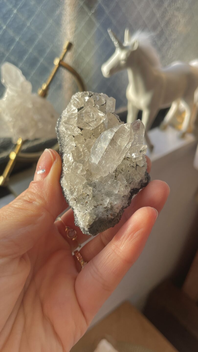 Extraordinary Quartz 希少 ヒマラヤ水晶 ブラックトルマリン共生