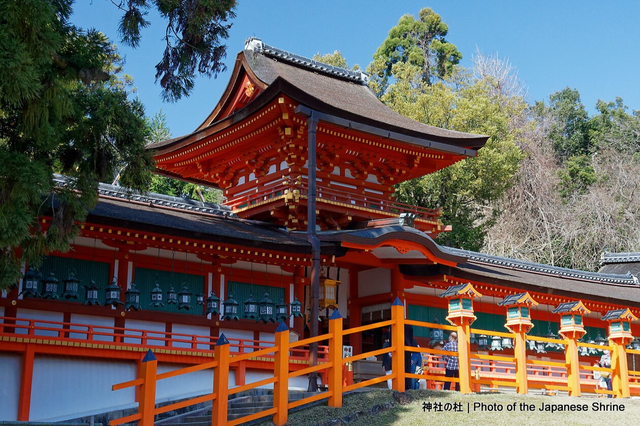 春日大社 世界遺産の見どころと藤原家 | 神社の杜