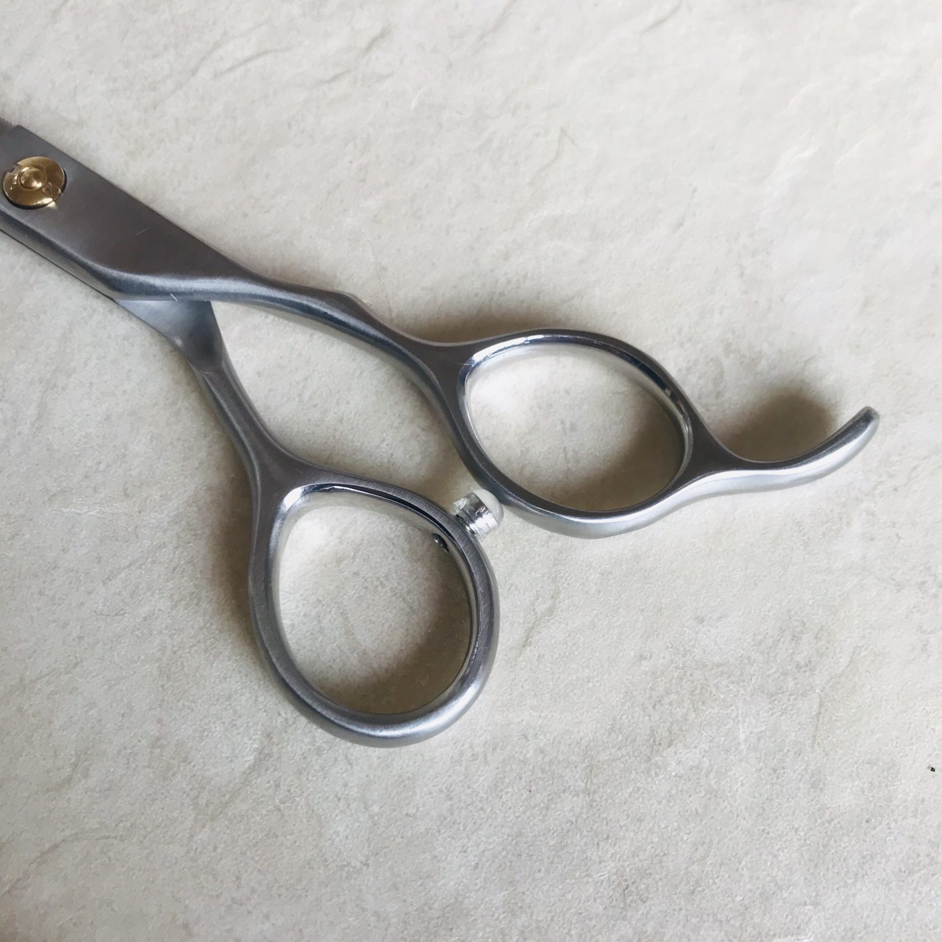 シュナやヨーキー、シーズーも狙った毛は逃さない」ギザ刃のストレート