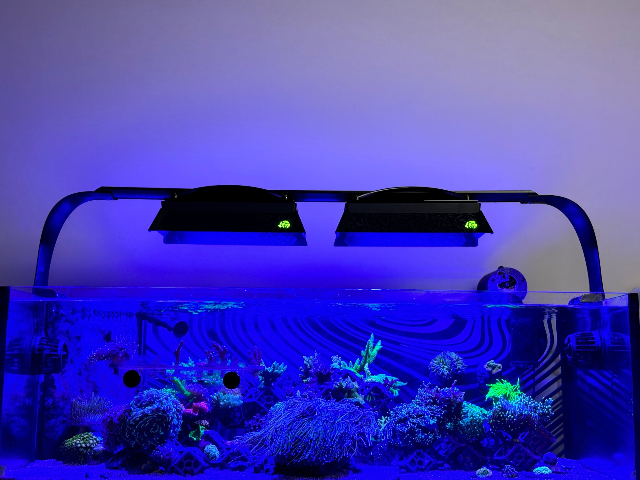 ライト・照明器具 Radion XR30 Blue Ecotech Marine Radion XR30 G6