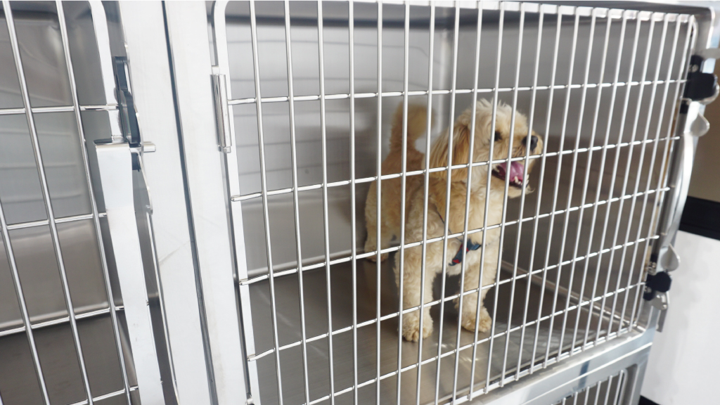 ミライケージ 犬用｜ステンレスケージ｜動物用医療機器メーカー東京