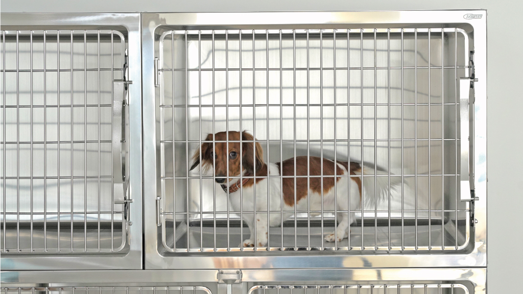 ミライケージ 犬用｜ステンレスケージ｜動物用医療機器メーカー東京