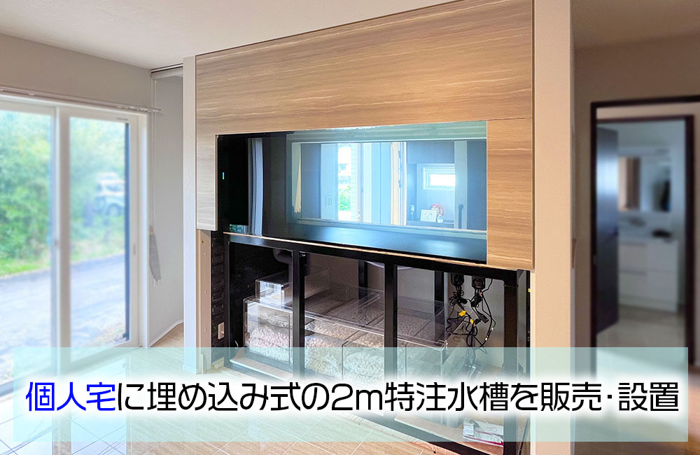 個人宅に2mの大型特注水槽を販売・設置！3面から観賞できます！｜東京