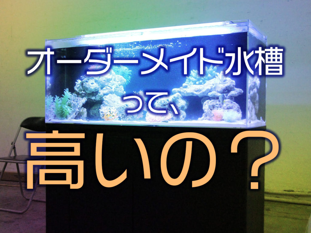 オーダーメイド水槽って高いのか・値段が決まる条件・発注テクニック