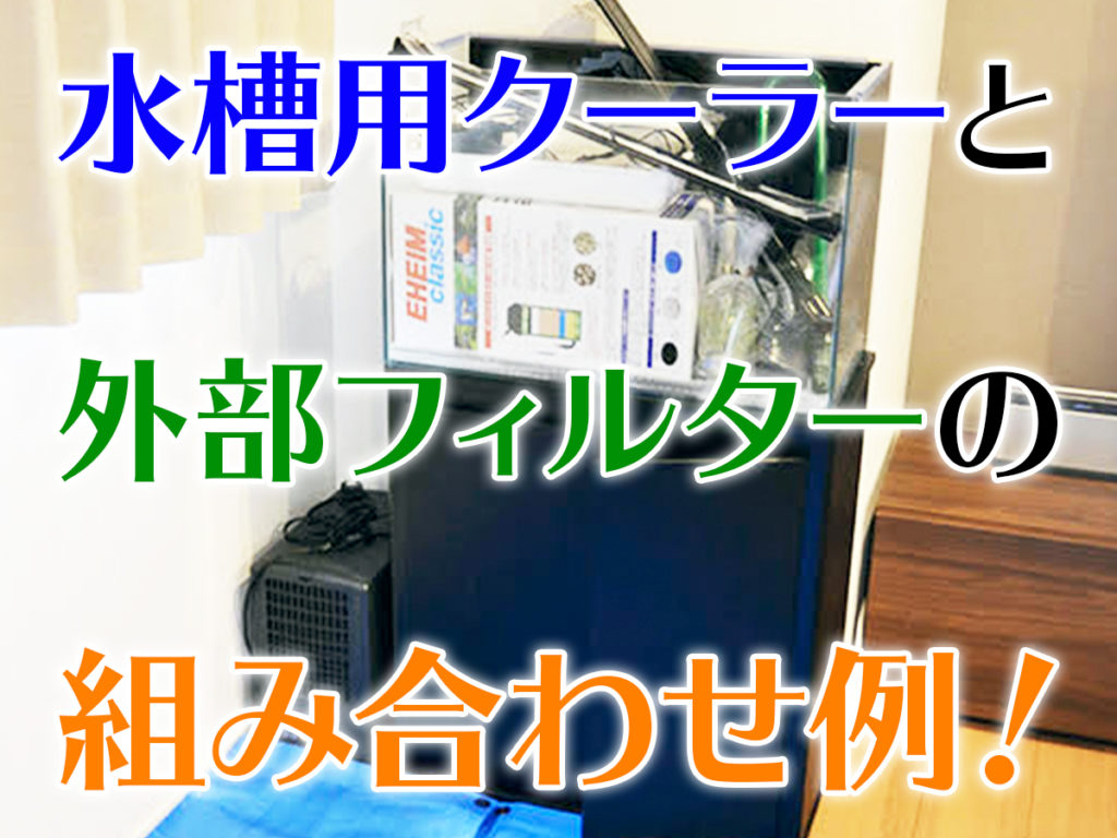 水槽用クーラーと外部フィルターの組み合わせ例・効率よく冷却しよう