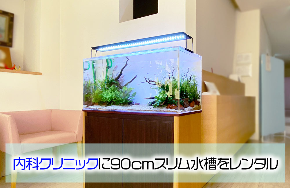 クリーンな水草水槽！内科クリニック様の90cmスリム淡水水槽｜東京
