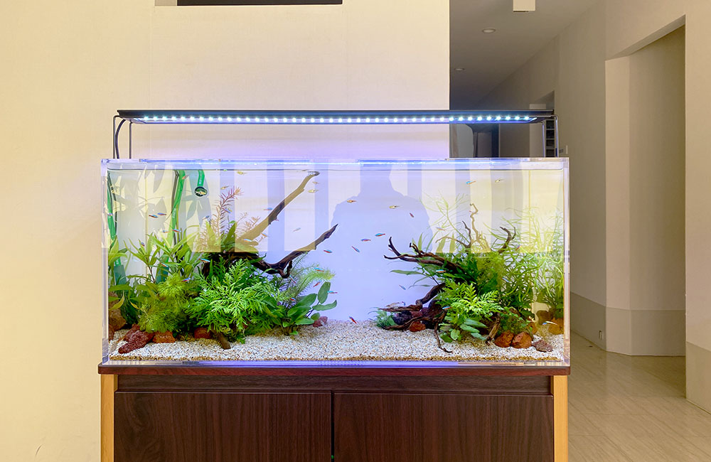 リサイクルショップどりーむ天保山店 No11439 大型水槽 巨大水槽