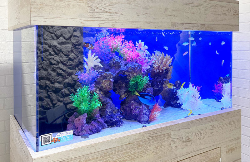 レプリカライブロック7選！海水水槽・サンゴ水槽向けの擬岩を特集