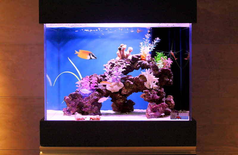 プラグ穴付き アク抜き不要人工ライブロック 海水水槽用 レプリカ