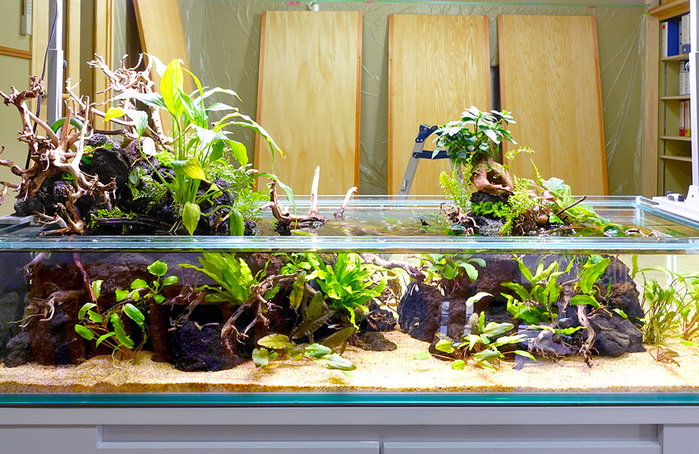 企業様の事務所に設置！両面から鑑賞できる120cmアクアテラリウム水槽