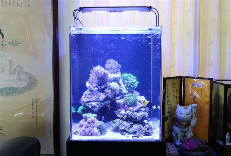 60cmハイタイプ水槽＋水槽カバー 発送不可！ 60cm以上水槽単品