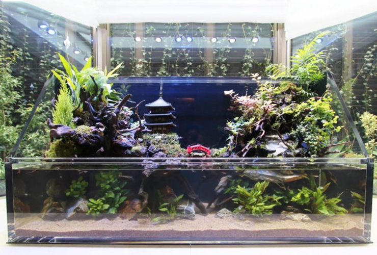 大自然 大型60 アクアテラリウム 完成品 水槽