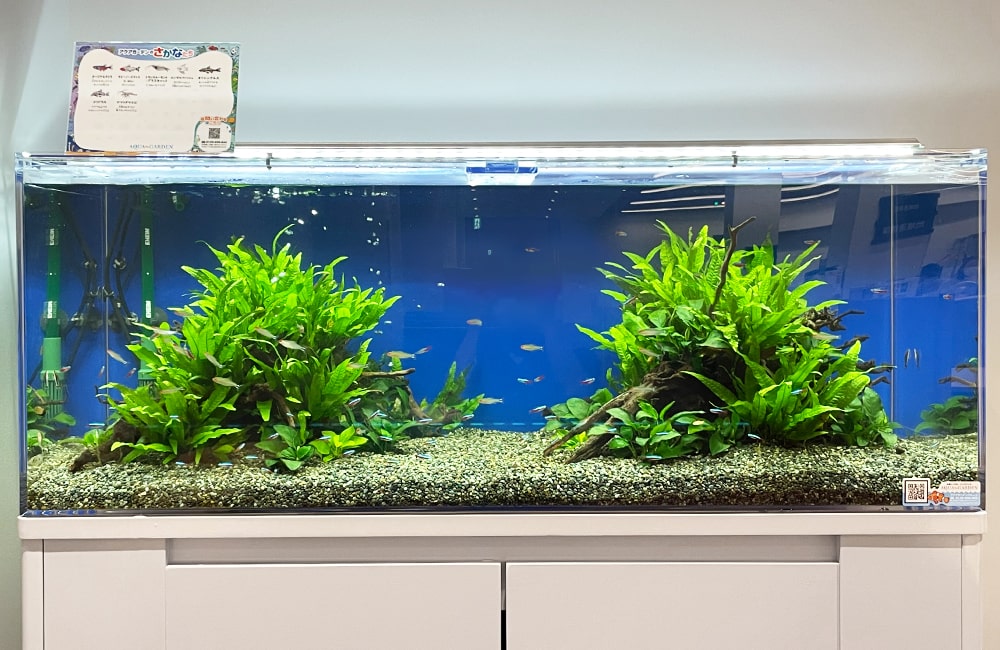 エーハイム2213サブ キャベティ サテライト プロホース アクアリウム