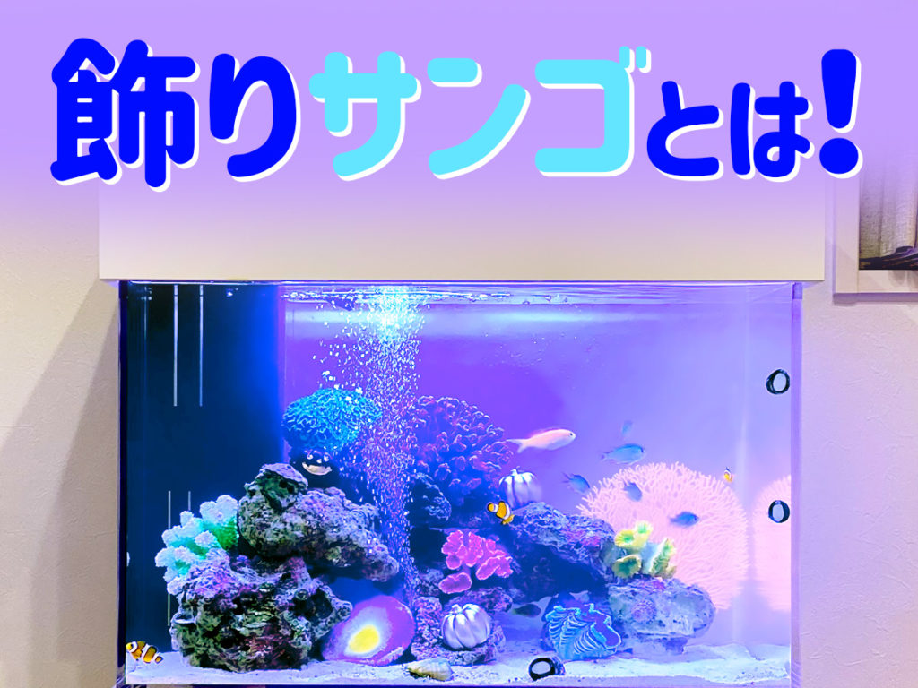 飾りサンゴとは｜種類とメリット、水質への影響、レイアウト例を解説