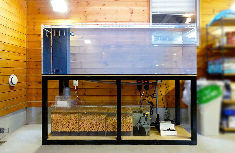 180cmの大型アロワナ水槽を特注制作！個人宅に設置しました｜東京