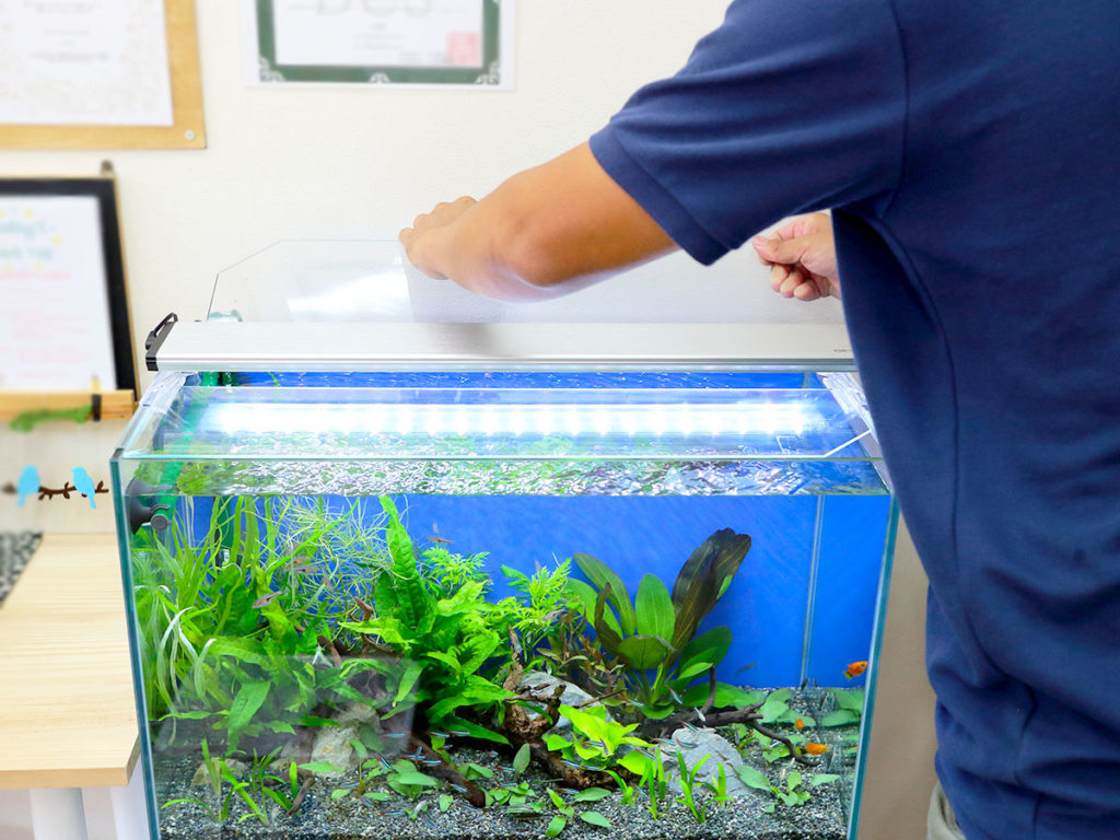 2026年・水草が育つ水槽LEDライト｜プロが選ぶベスト3をご紹介｜東京