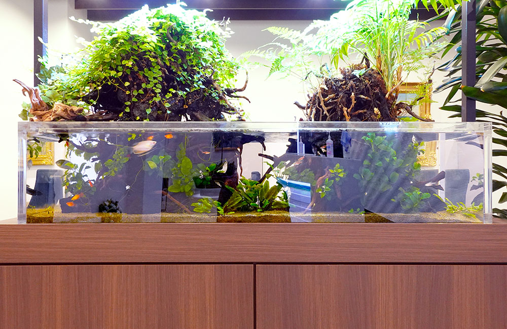 オーダーメイド】滝のあるアクアテラリウム イモリウム 苔テラリウム