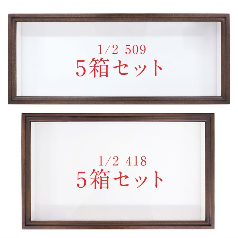 標本箱 ドイツ箱大型 2個セット 大型ドイツ型標本箱（黒