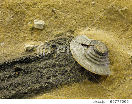 ロズウェル UFO博物館の写真素材 [69777006] - PIXTA