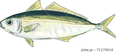 シンプルな手書きのアジのイラストのイラスト素材 [72179019] - PIXTA