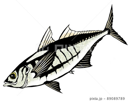 刺身に最高のアジのイラスト素材 [89089789] - PIXTA
